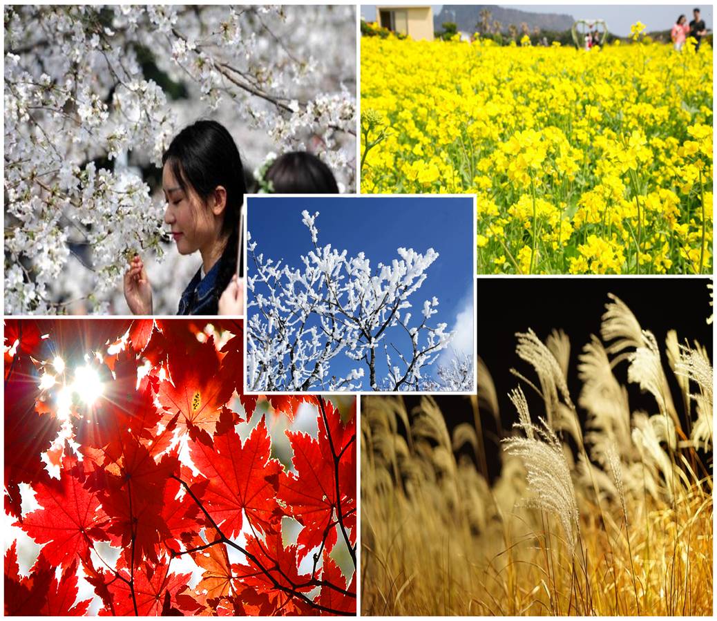 산행 [ 꽃 단풍 갈대 눈 축제  ]